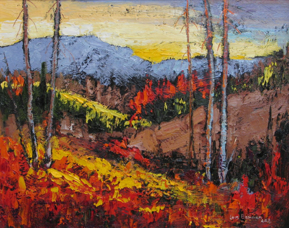 Kananaskis Evening