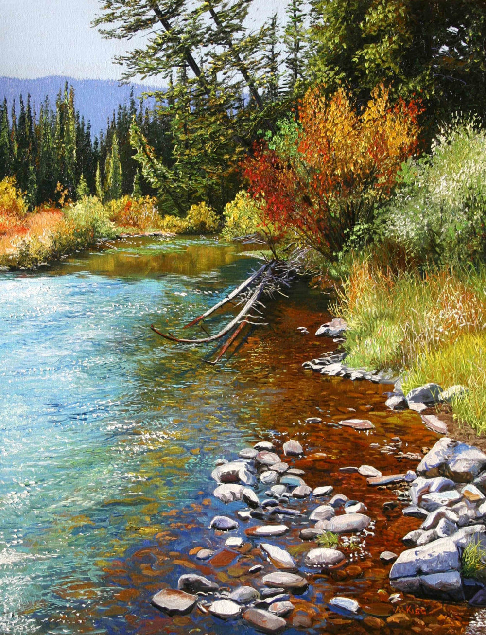 Kananaskis Stream