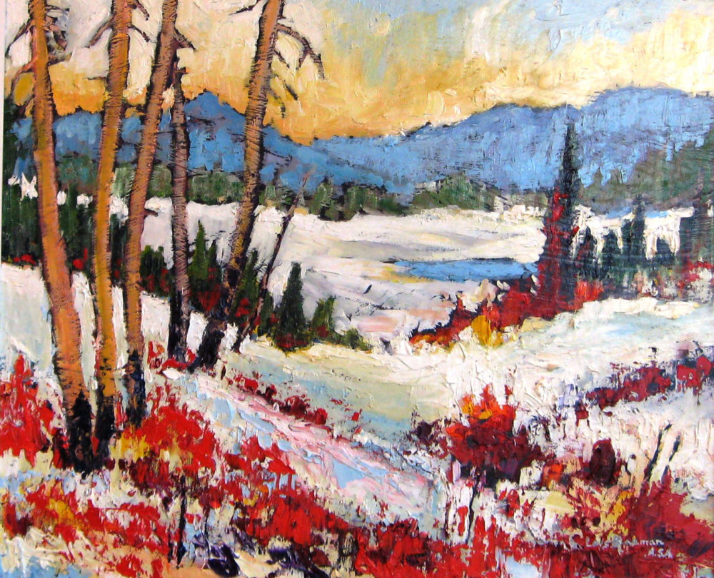 Kananaskis Winter Lois Bauman