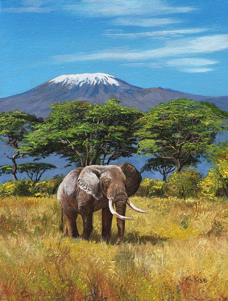 Kilimanjaro - Andrew Kiss