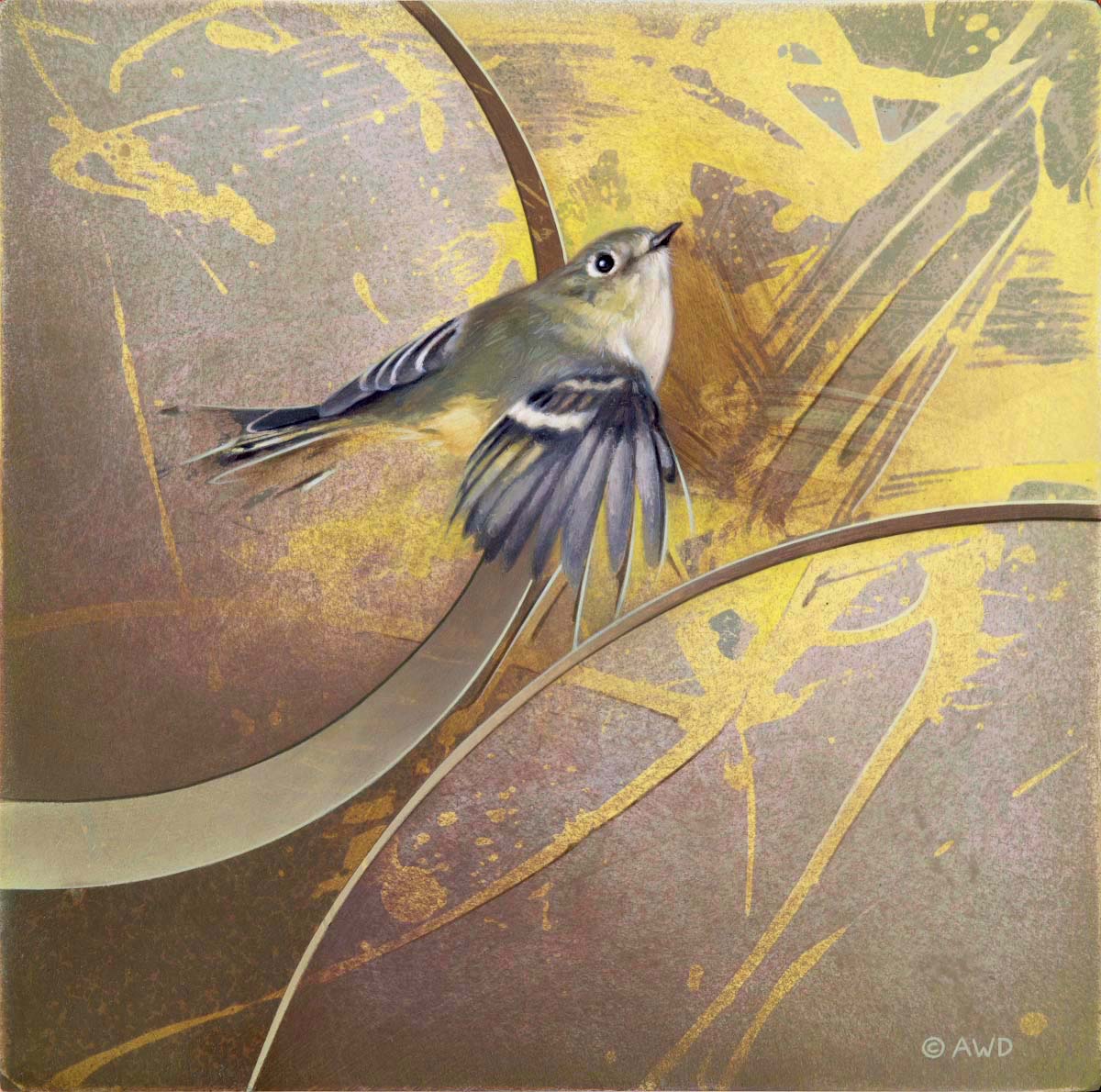 Kinglet for a Day #2 - Andrew Denman