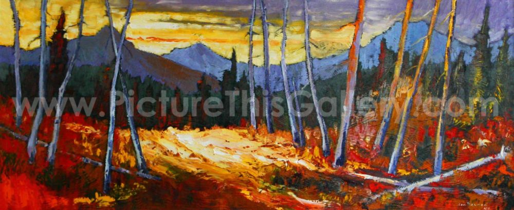 Kootenay Mountain Twilight