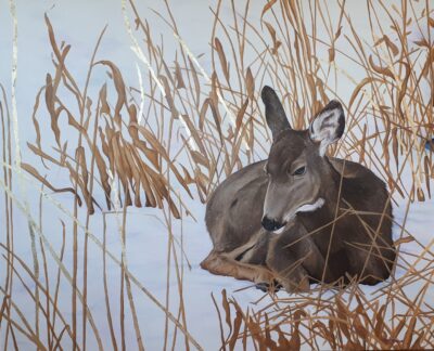 Kristen Federchuk_In Quietness and Trust