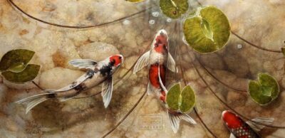 Lady Bug koi fish