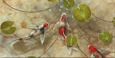 Lady Bug and koi fish