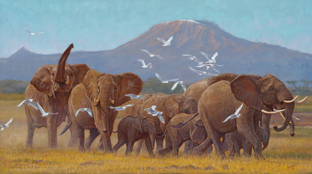 Land of Elephants Picture This Framing & Gallery
