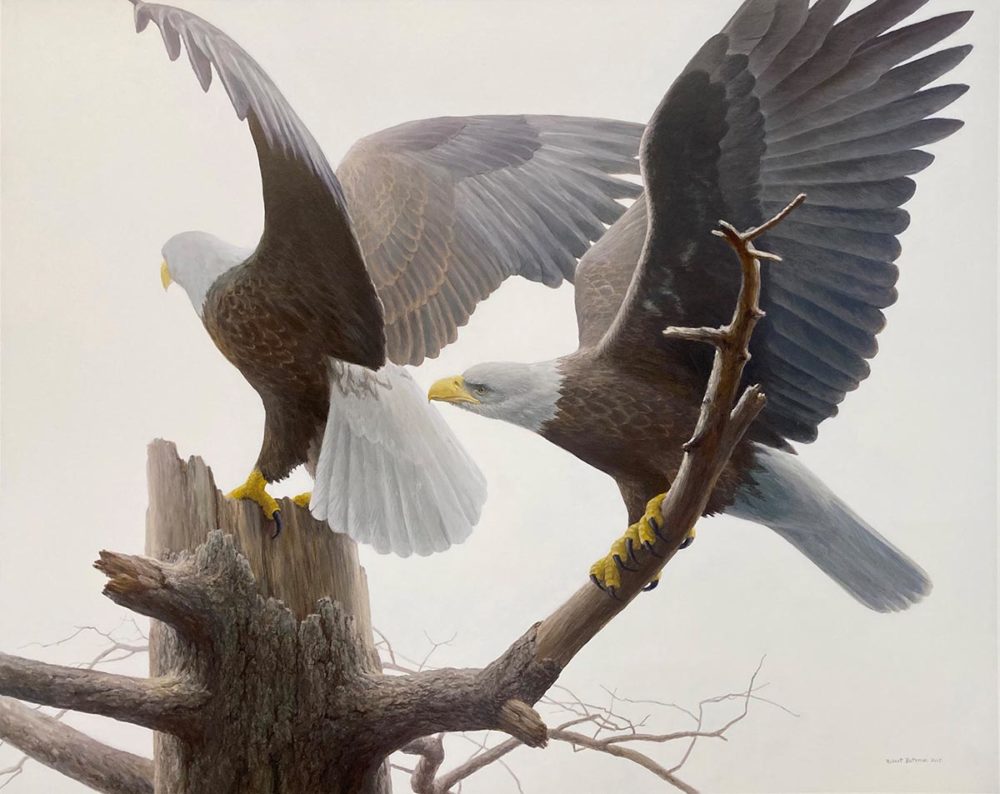 Landings - Bald Eagle - Robert Bateman
