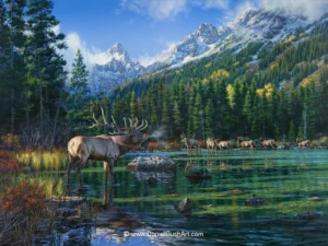 Large12_beeec13f-cc72-4bf0-9903-ed9dc7e3e5fa