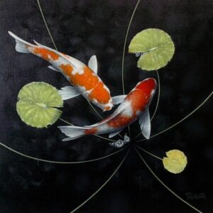 Light From Dark koi fish