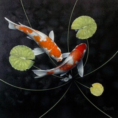 Light From Dark koi fish