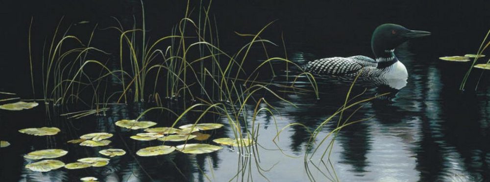 Lily Pads and Loon