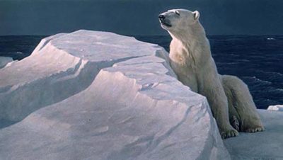 Long Light - Polar Bear - Robert Bateman