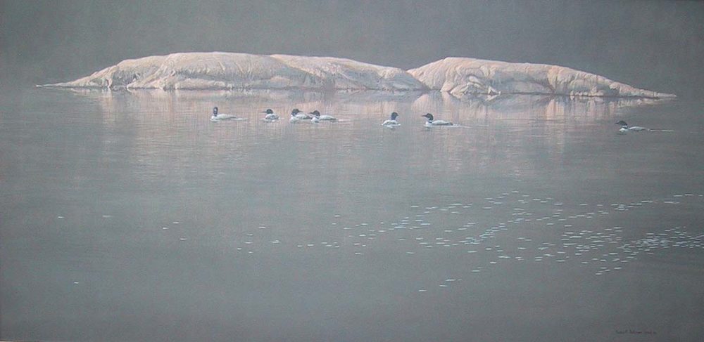 Loon Gathering at Big East - Robert Bateman