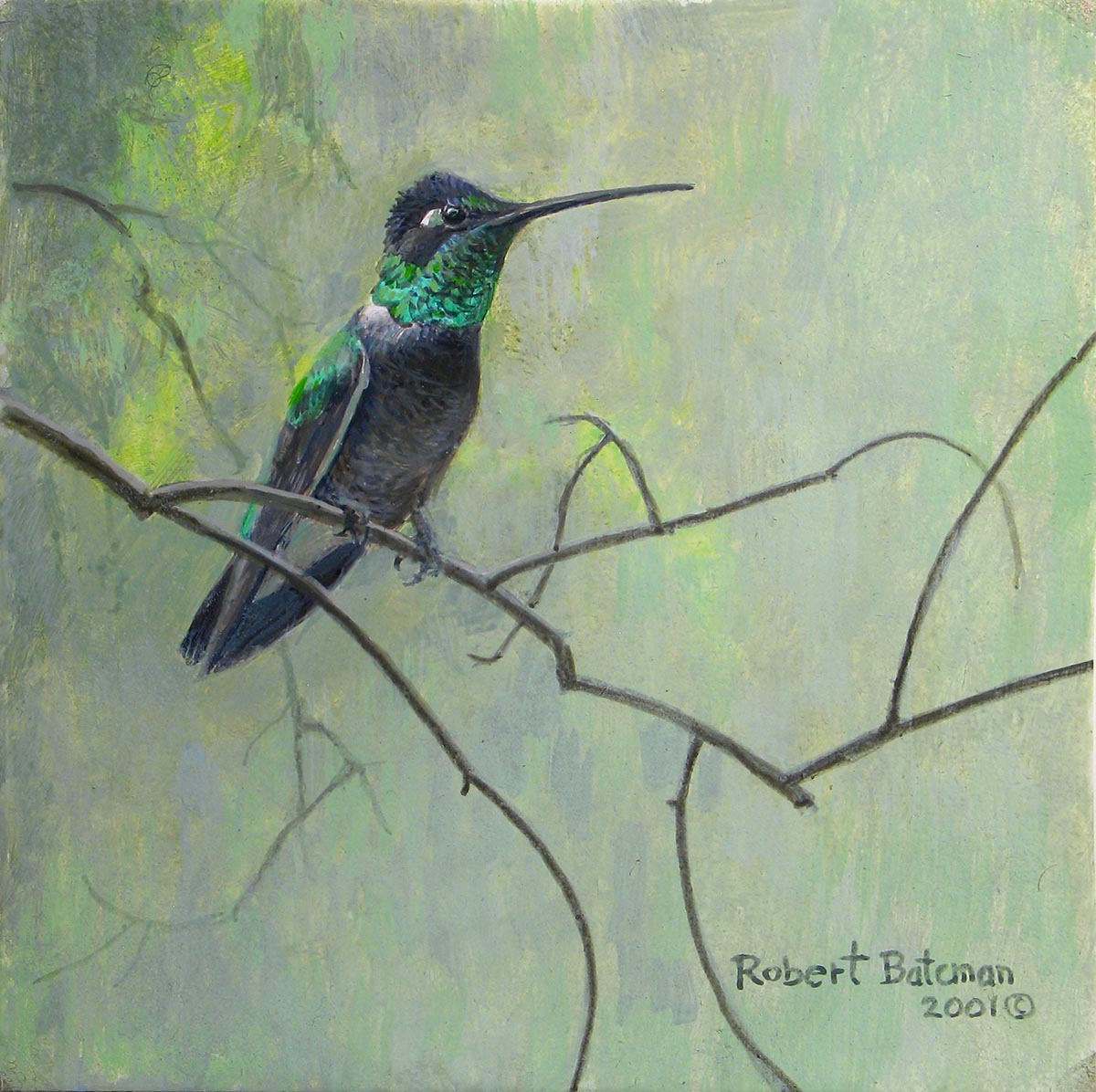 Magnificent Hummingbird - Robert Bateman