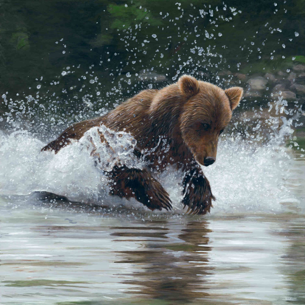 Making A Splash Terry Isaac