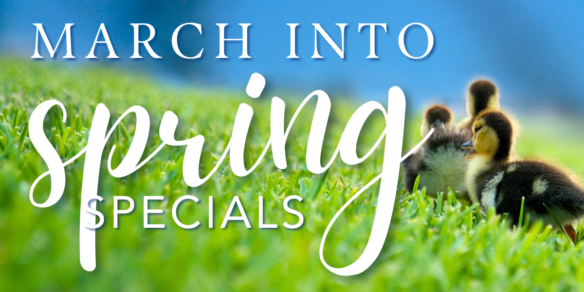 March into Spring Specials Page (1)