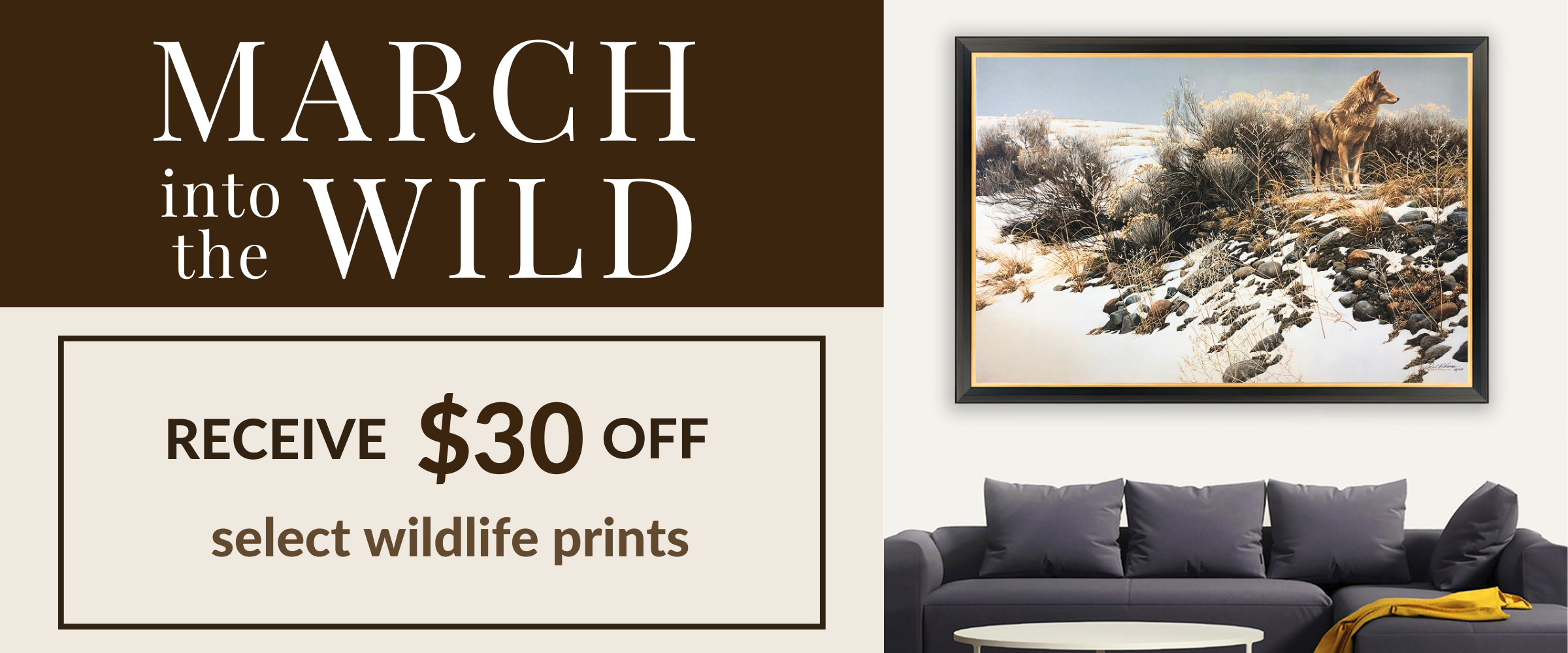 March into the Wild 2024 specials page (1)