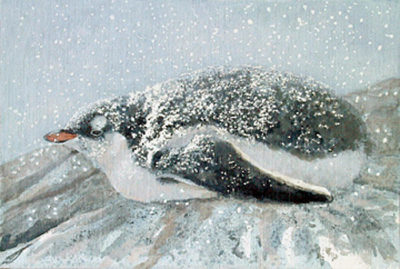 March Of The Penguins Robert Bateman