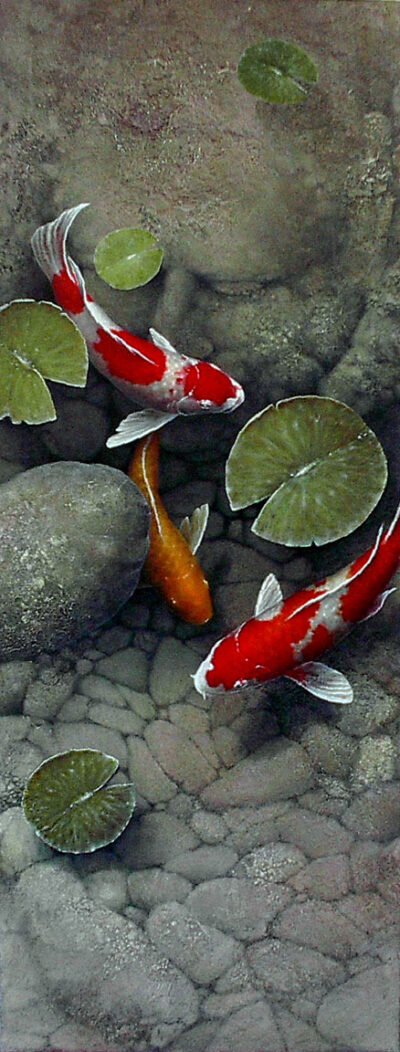 Memory Pond and koi fish