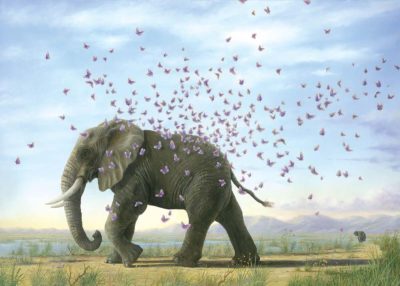 Metamorphosis - Robert Bissell