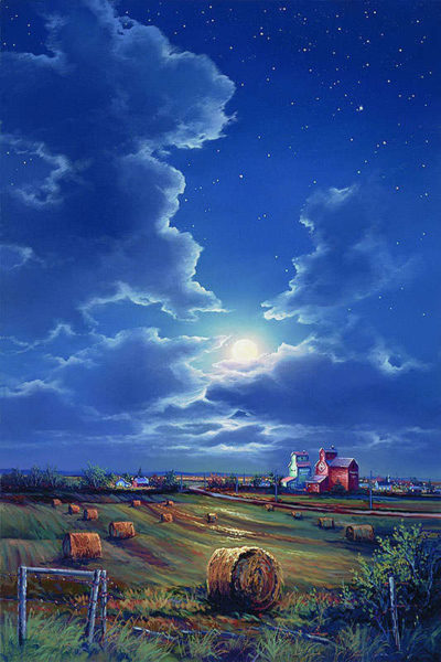 Midnight In A Prairie Garden Jonn Einerssen
