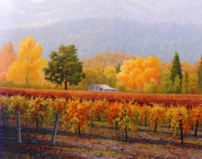 Misty Day Vineyard Charles White