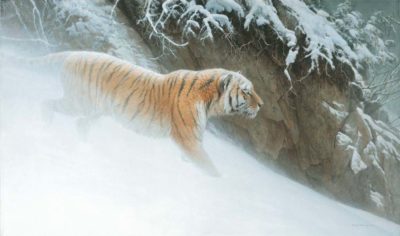 Momentum - Siberian Tiger - Robert Bateman