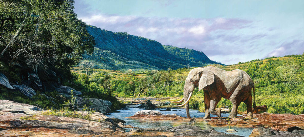 Monarch of Mwaluganje