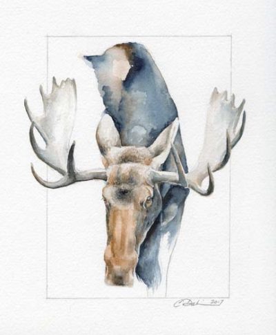 Moose Head Study - Charity Dakin