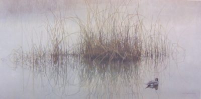 Morning Calm - Pintail - Robert Bateman