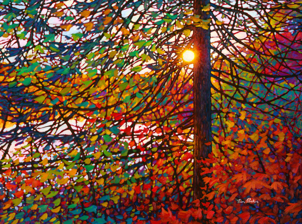 Morning Light, Brent Road