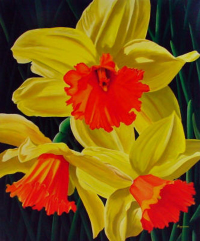 Narcissus Dennis Magnusson