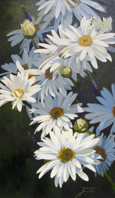 Natures Jewels Daisies Maurade Baynton 1