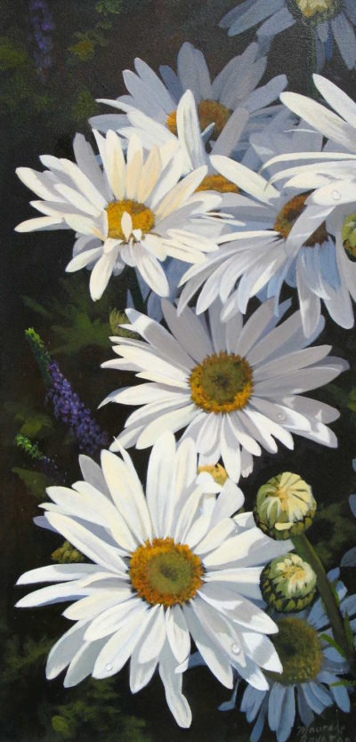 Natures Jewels Daisies Maurade Baynton 2