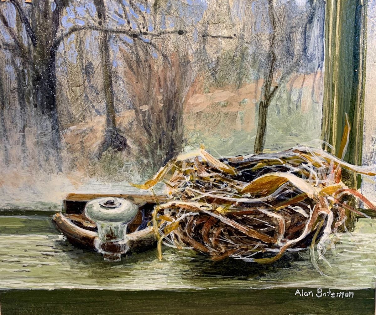 Nest on Window Sill