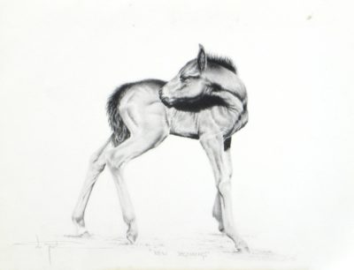 New Beginnings - Henri de Groot