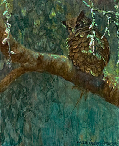 Night-Owl