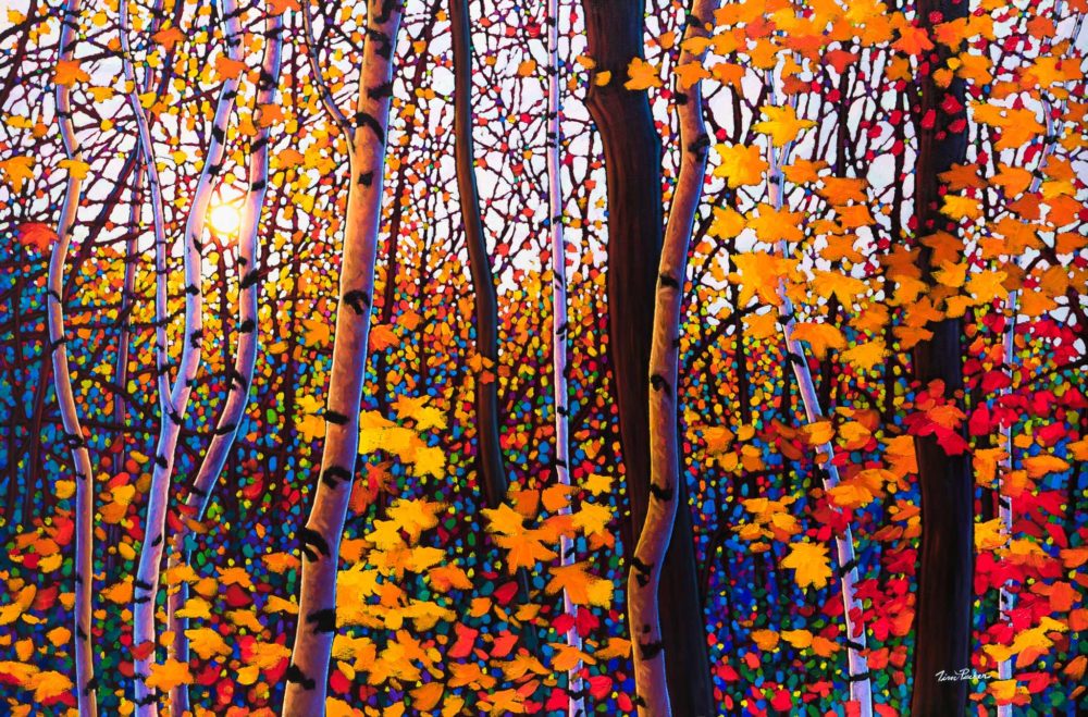 October Symphony, Algoma - Tim Packer