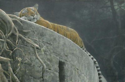 Old Fort Tiger Robert Bateman 1