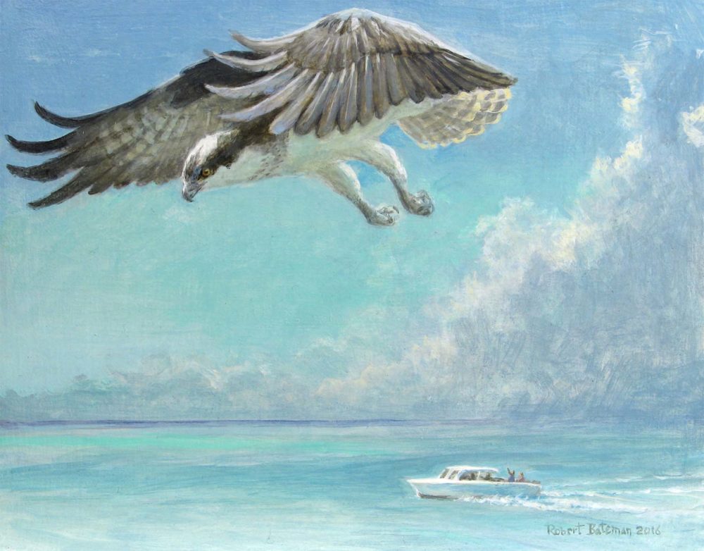 On the Reef - Robert Bateman