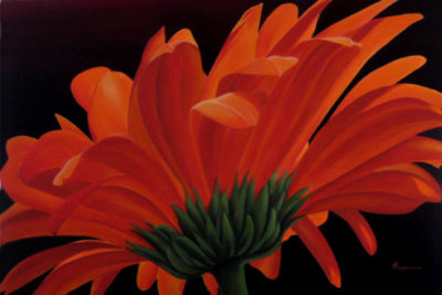 Orange Gerbera Dennis Magnusson