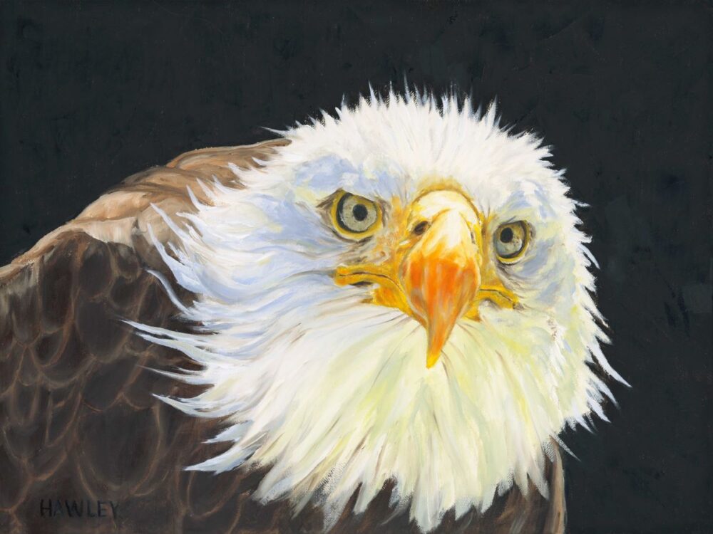Eagle