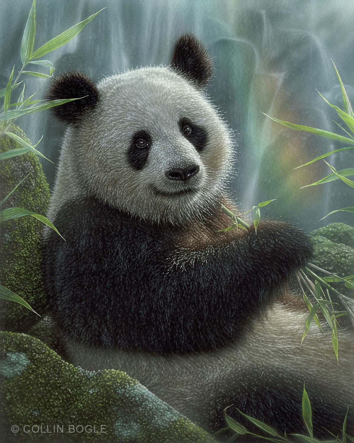 Panda Paradise - Collin Bogle