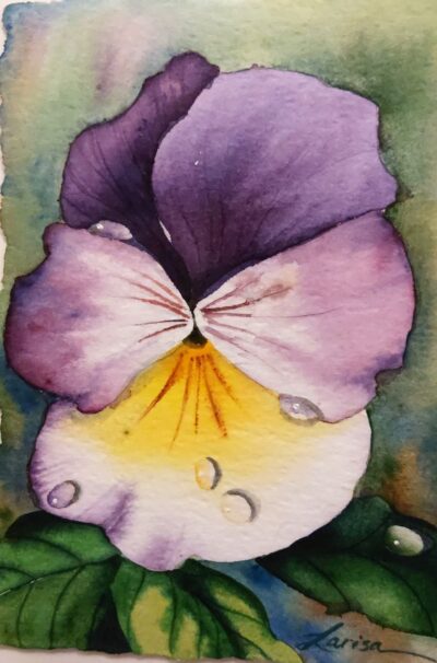Pansies