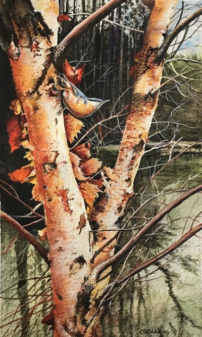 Paper Birch Home - John Zacharias