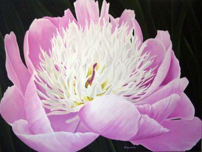 Peony - Dennis Magnusson