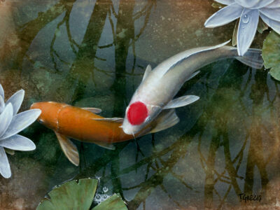 Petals and koi fish