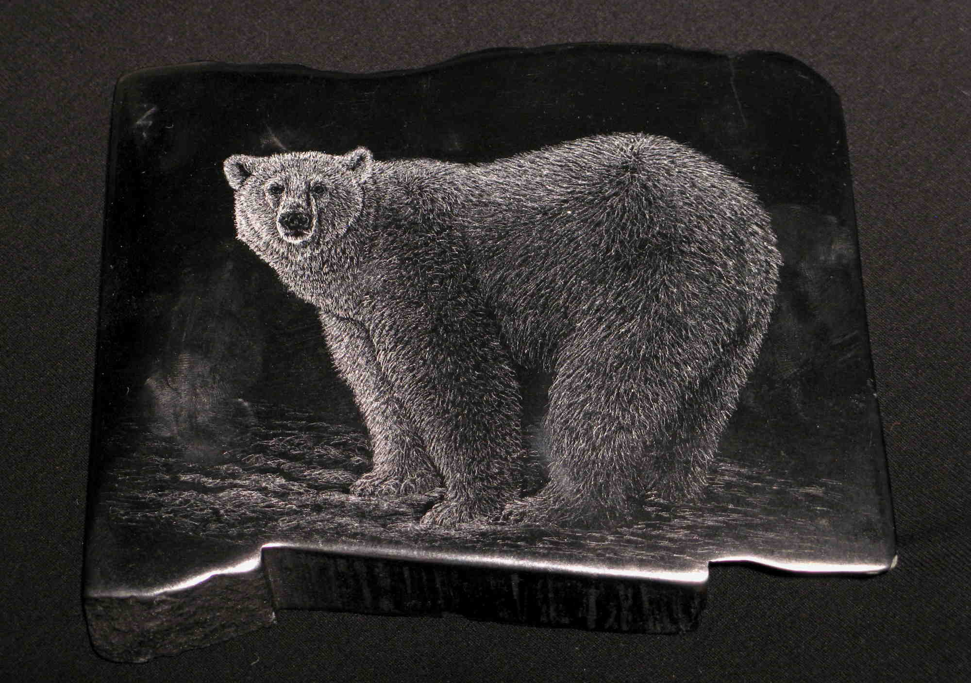 Polar Bear #5 Tim Frampton (1)