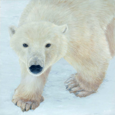 Polar Expression Terry Isaac