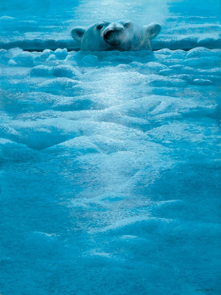 Polar Lookout John Seerey Lester